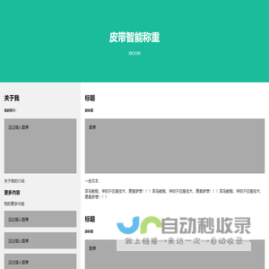 页面标题